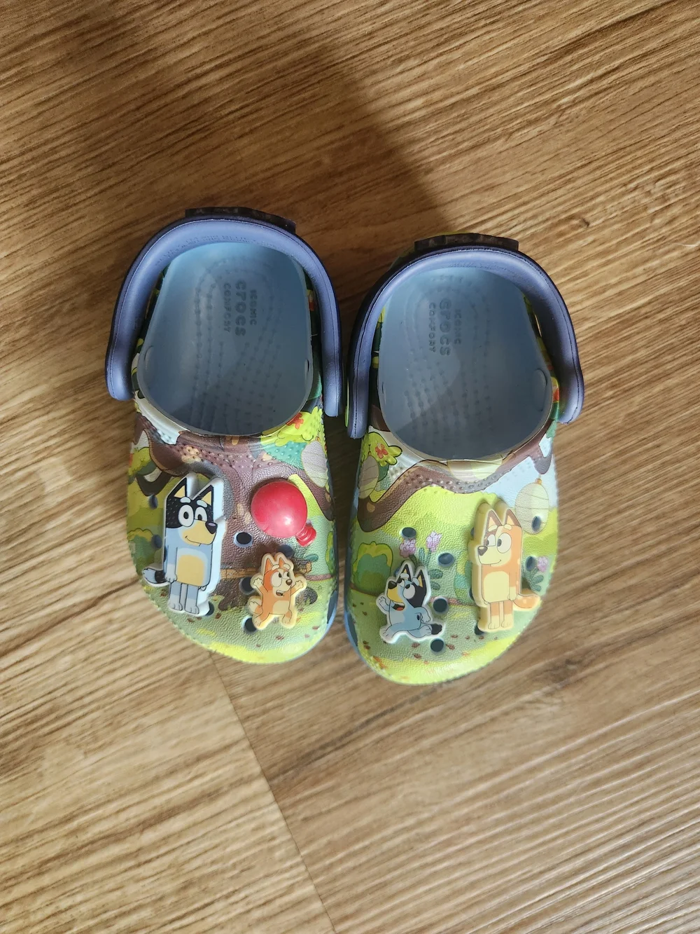 Kids Bluey Cartoon Crics Comfortable Slip-On Shoes